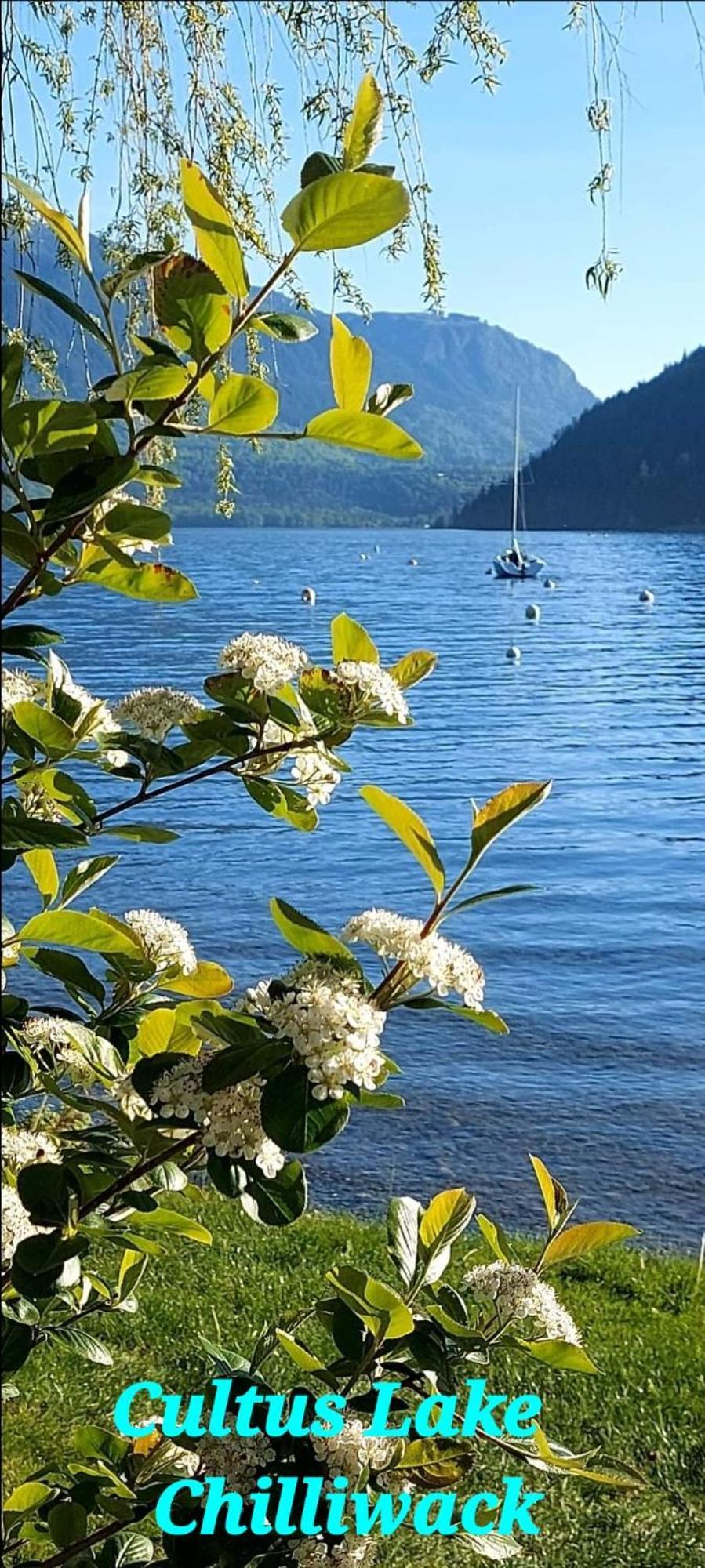 Private 2 Bedrooms Suite Near Hwy 1, Cultus Lake, Heritage Park, Fishing, Coliseum ชิลลิแวค ห้อง รูปภาพ